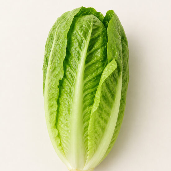 Laitue Romaine