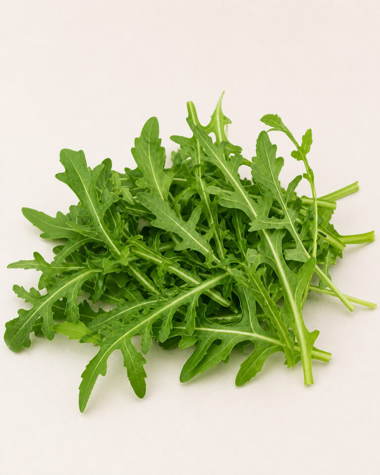 Roquette