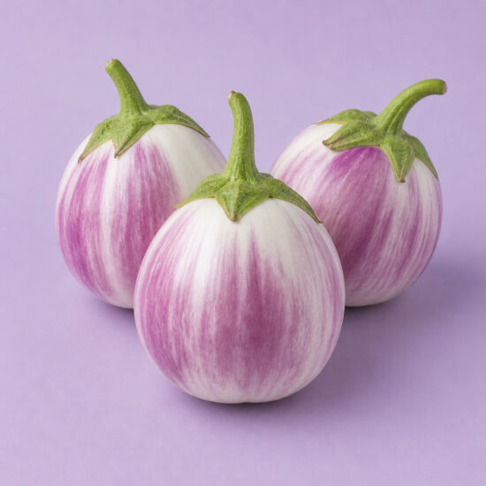 Rotonda Bianca sfumata di rosa