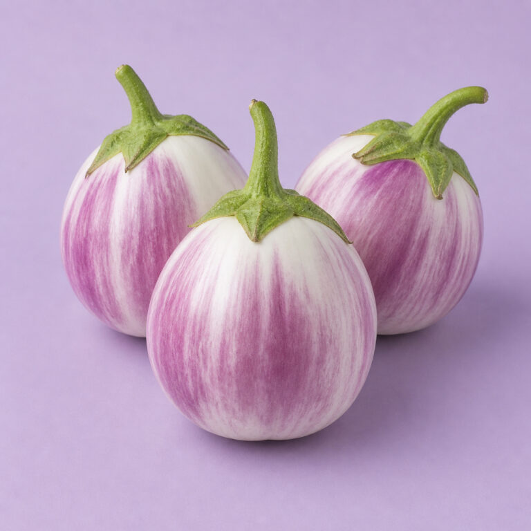 Rotonda Bianca sfumata di rosa