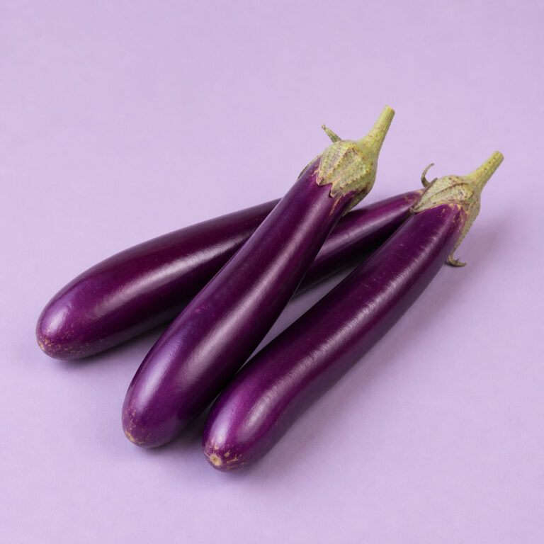 Longue violette de Barbentane