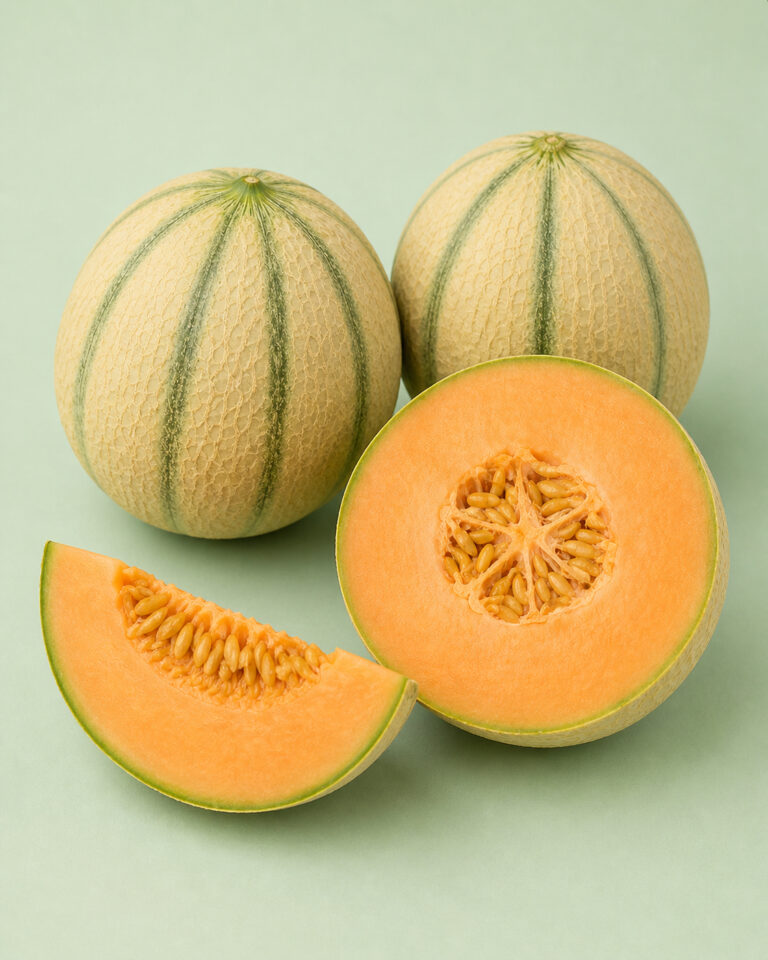 Cantaloup vedrantais super précoce du roc